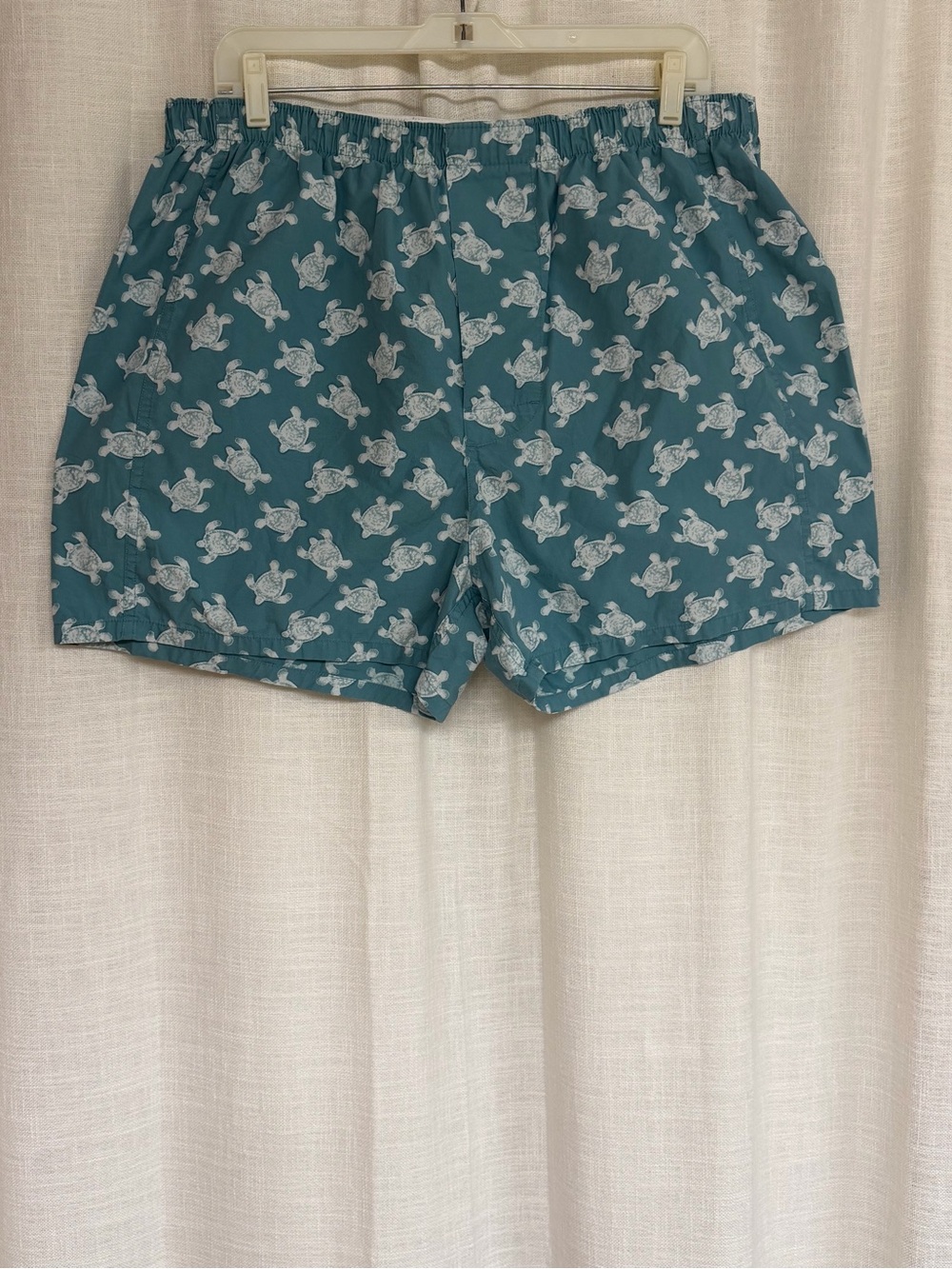 Banana Republic Teal Turtle-Print Boxers